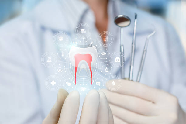 Professional Dental Services in Clear Lake Shores, TX